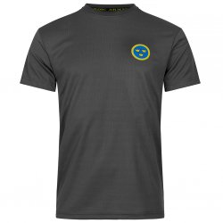 Quick Dry T-Shirt Flygvapnet - Grå